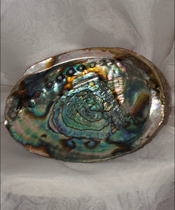 Large Abalone Shell - Bowl for Smudging