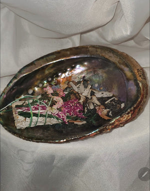 Large Abalone Shell - Bowl for Smudging